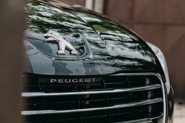 Découvrez les meilleures pièces de carrosserie pour votre peugeot